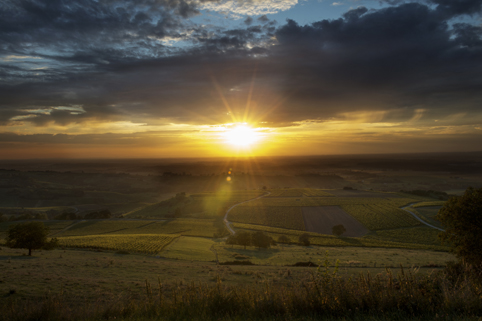 Coucher de soleil sur les vignes de Pupillin © CIVJ - Xavier Servolle